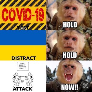 7158C020-F05A-4E5D-A806-3551E504A9FA.jpeg