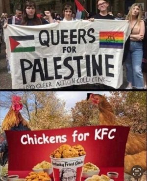 C653DA1C-5A00-4682-A5CA-E7A07FE0E90A.jpeg