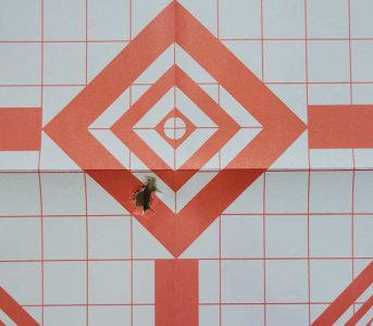 First 3rds at 5 yards.jpg First 3rds at 5 yards.jpg