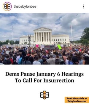 CF2C0250-FB8C-4AC5-B4D8-FF9E601F2427.jpeg