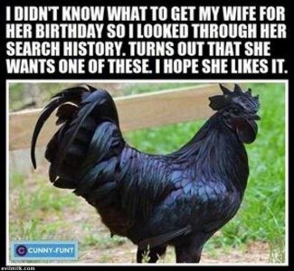 5bq-2h9r5k.jpg