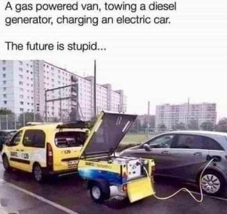 20286.jpg