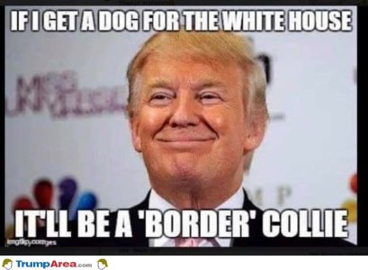 750E749B-E55E-43AD-A46B-8656E709C9F4.jpeg