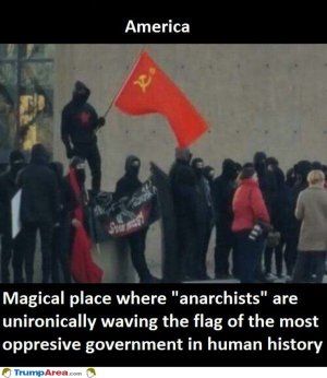 C1E6E325-5C0F-4C63-8AD3-5899AB989DD6.jpeg