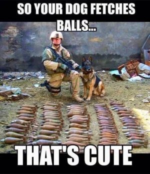 B6BFD3A3-2557-4840-B728-F1F6E1CD459A.jpeg