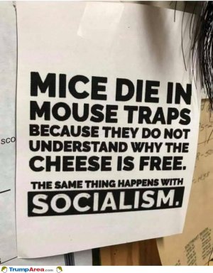 27D0BD1C-0573-4796-9AA1-6457E8B845C2.jpeg