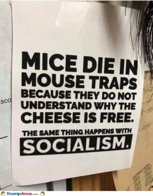 9903DB68-8764-40FB-8E77-B7F74ACE4866.jpeg