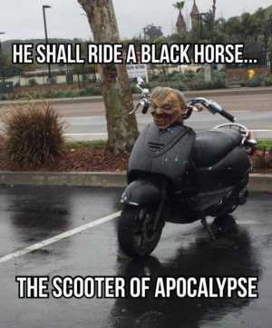 E51080C7-0E20-421A-8BCE-24E87CA7D63A.jpeg