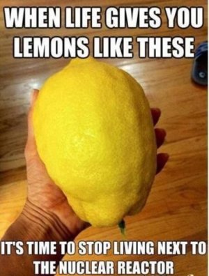 F7779DE0-741E-457F-A121-D5DEF0B5AE46.jpeg