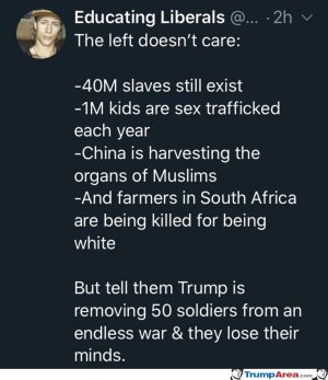 E1065B3D-FB09-4B7C-BFBD-E6F37EF55667.jpeg