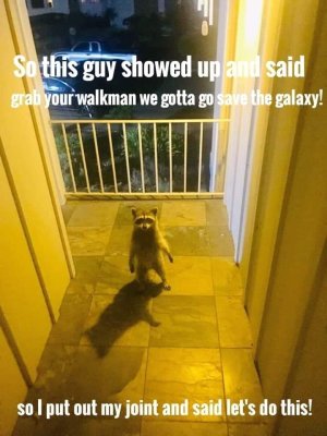 947935F9-9107-4F52-8B6B-0CF1E61CDEE7.jpeg
