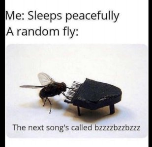 BFDF4DD3-165C-49DC-9619-FF6C5308F9BD.jpeg