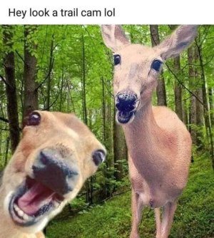 2CC48172-1E2B-4335-97E9-69CBFB0E8DA3.jpeg