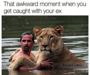929D5283-E691-435F-A0DE-482E44A448DB.jpeg