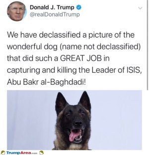 046593E4-B461-4EB5-8F23-181044F1C138.jpeg