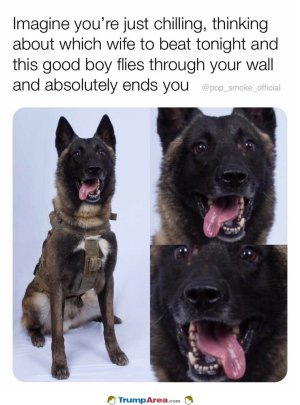 430F1171-744B-4235-AE39-EC8A95E15C77.jpeg