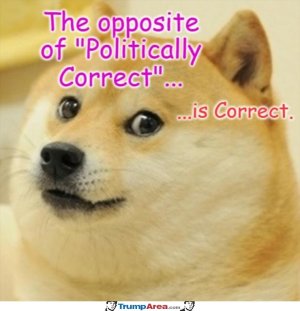 90A970F9-72AD-4828-9A9D-195A5F496599.jpeg