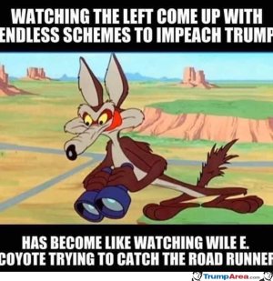 0CE3892C-EE3C-4364-874B-965CEED82D57.jpeg