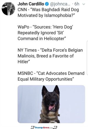 1295F00F-C5D9-478B-91DF-3F9E6BBD9129.jpeg
