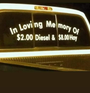 In-Loving-memory.png