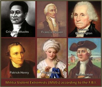 Militia Violent Extremists.jpg