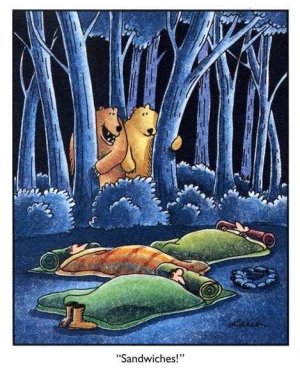 Bears.jpg.ac680522482eca00f76709960d631c35.jpg