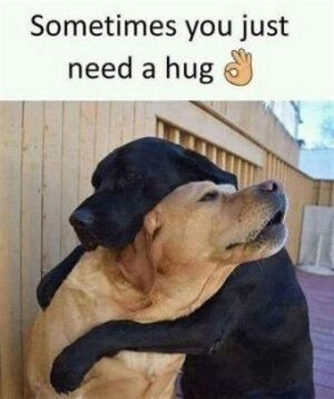 DE34217C-0798-41B7-A5A5-66BD0A611F4D.jpeg