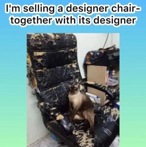 C85E8228-B65C-487F-AB59-CD74FA2E9315.jpeg