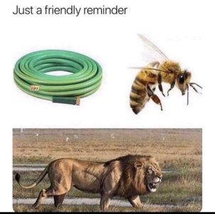 0CAD6AF8-4F26-425D-A6B7-003CF14F9F81.jpeg