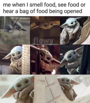 44D37224-D698-4F59-9637-21920D5D45CE.jpeg