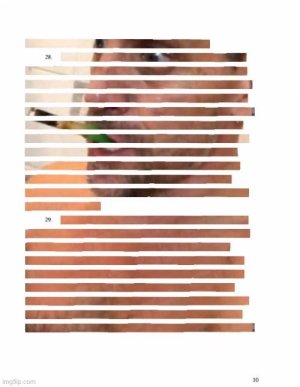 E89D0574-98CC-4293-A168-C7F5EB1E5C4D.jpeg