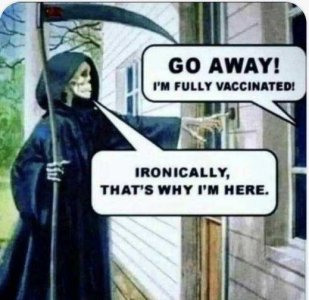 vax.jpg