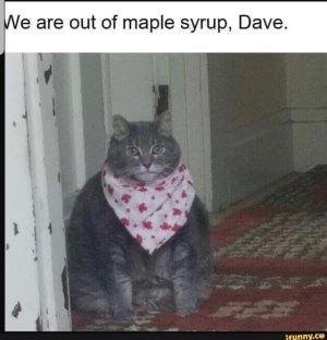 DA0C08D9-FEA0-4688-B33B-0E1AFD5D661A.jpeg