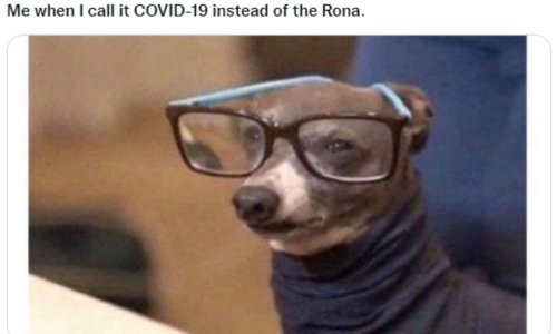 3CB2BFDB-7E54-4776-B98F-9ECF9BC4517F.jpeg