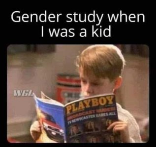 5a.jpg