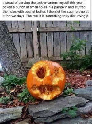 396F7132-A7D4-47FC-B413-B26C2F8E6C18.jpeg