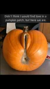 Pumpkinpussy-169x300.jpg
