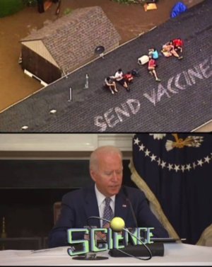 27F64741-49CC-4696-9D4A-37C71FDA9321.jpeg
