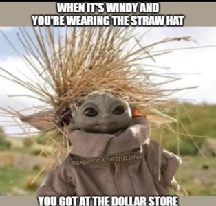 84993F69-F2A7-4CBE-A057-31E967BE34ED.jpeg