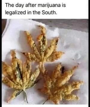AF36B92C-73A5-4DA4-8DA9-AB73D6FD2B68.jpeg