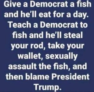 Dems1.JPG
