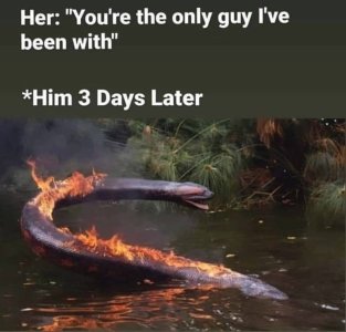 E21E3E68-1DD1-40E4-9DDD-C8840C6C62CC.jpeg