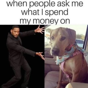 685AA2E3-1E9F-4F27-A9FA-4BAAED6FD12E.jpeg