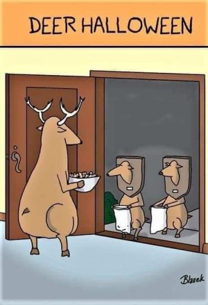Deer.jpg