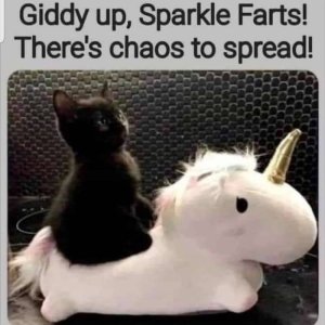 B0358DA0-98BB-4A34-B521-9AE3F892A8BD.jpeg