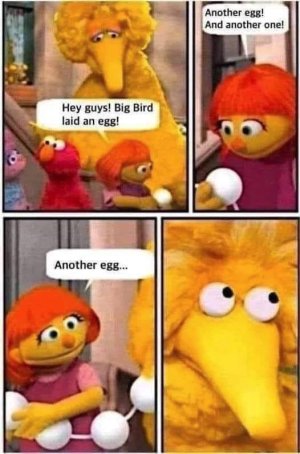0B8D41CF-9D0B-4E7B-970F-DCD8D6E4EBED.jpeg