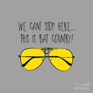 this-is-bat-country-fear-and-loathing-in-las-vegas-thomas-p-watson.jpg