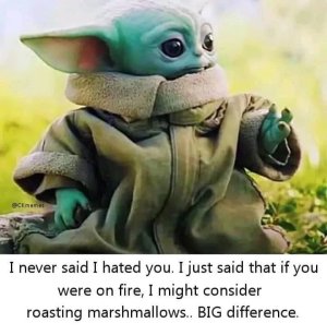 982126CA-DE34-40E9-9AA8-ECE1D03D53D7.jpeg