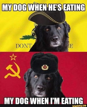 44CFA8E9-5783-47B3-A815-9B6792B19225.jpeg