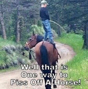 A-piss-off-a-horse.jpg